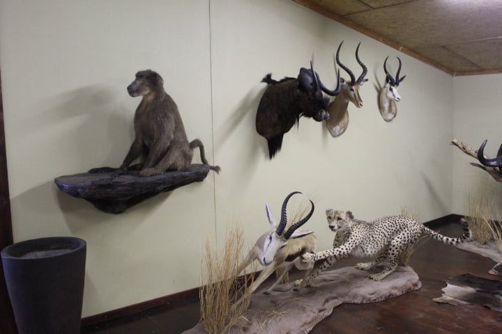 Mobirise Website Builder